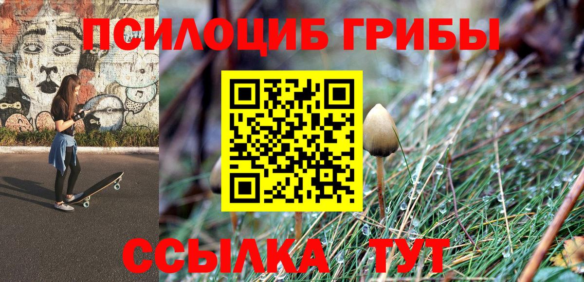 Псилоцибиновые грибы Magic Shrooms  Вход с VPN  Партизанск 